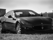 Maserati alb/negru