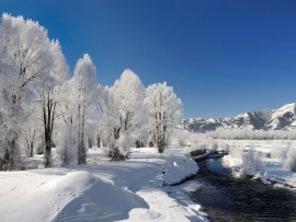 Peisaj frumos de iarna (click to view)