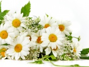Buchet de flori albe