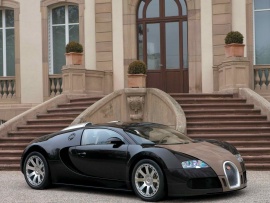 Bugatti Veyron (click to view)