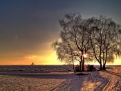 Copac in asfintit iarna