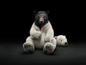 Costum de urs polar
