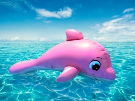 Delfin roz (click to view)