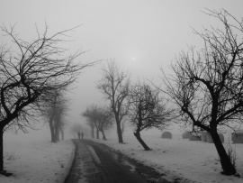 Drum de tara iarna (click to view)