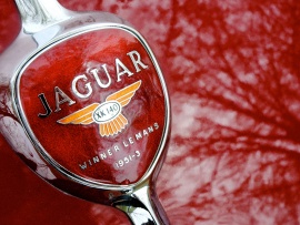 Emblema Jaguar (click to view)