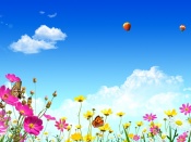 Flori colorate sub cer