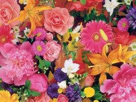 Flori diferite si colorate (click to view)