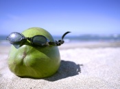 Fruct cu ochelari pe plaja