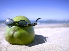 Fruct cu ochelari pe plaja (click to view)