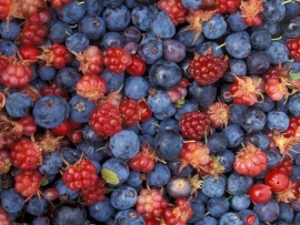 Fructe de padure (click to view)