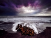 Mare violet
