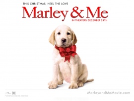 Marley and Me (click to view)