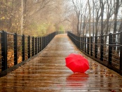O umbrela rosie