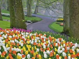 Parc cu multe flori (click to view)