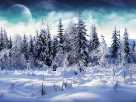 Peisaj fantastic iarna (click to view)