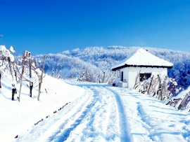 Peisaj iarna la munte (click to view)