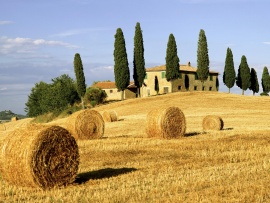 Regiunea Tuscany Italia (click to view)